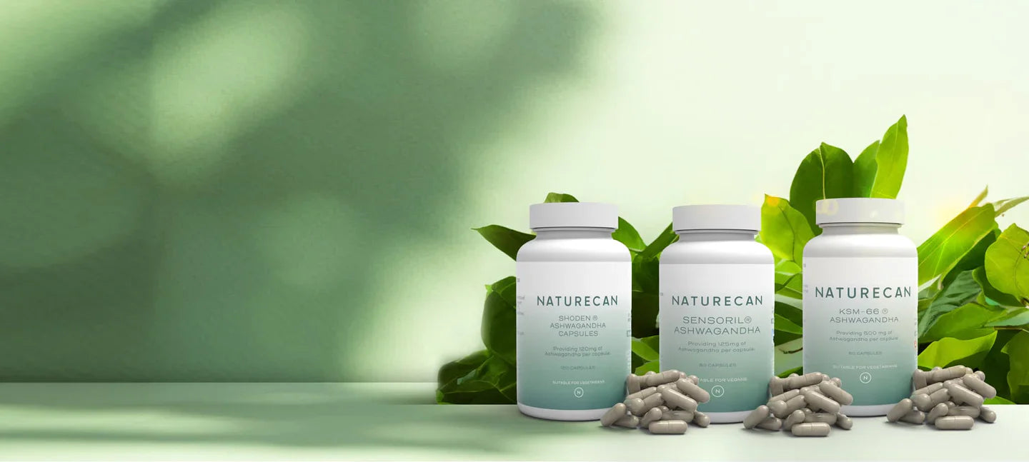 Ašvaganda vodnik - učinki, odmerjanje in pregledi