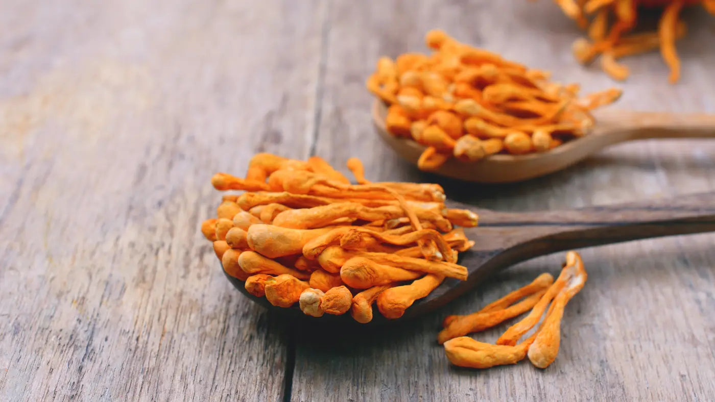 Cordyceps: učinki, odmerjanje, neželeni učinki