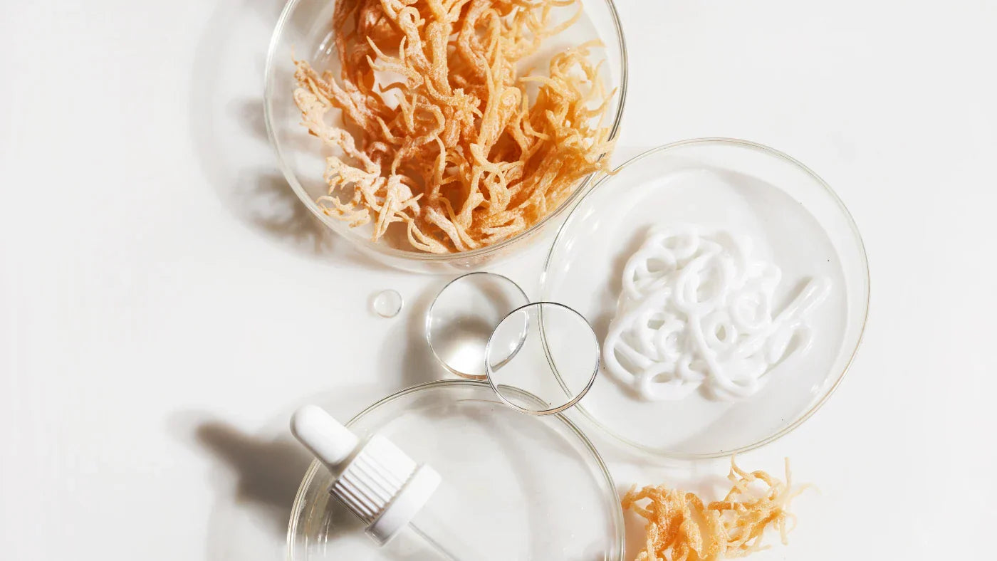 10 učinkov "sea moss", oziroma morske mahovine