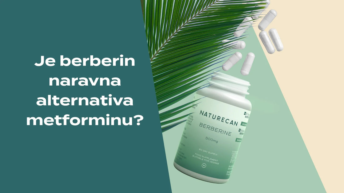 Ali je berberin alternativa metforminu brez recepta?