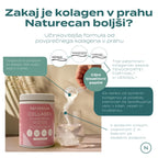 collagen powder
