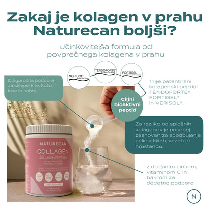 collagen powder