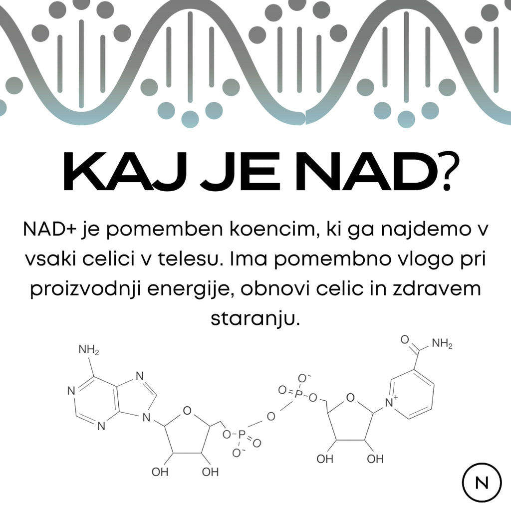 nad+