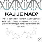 nad+