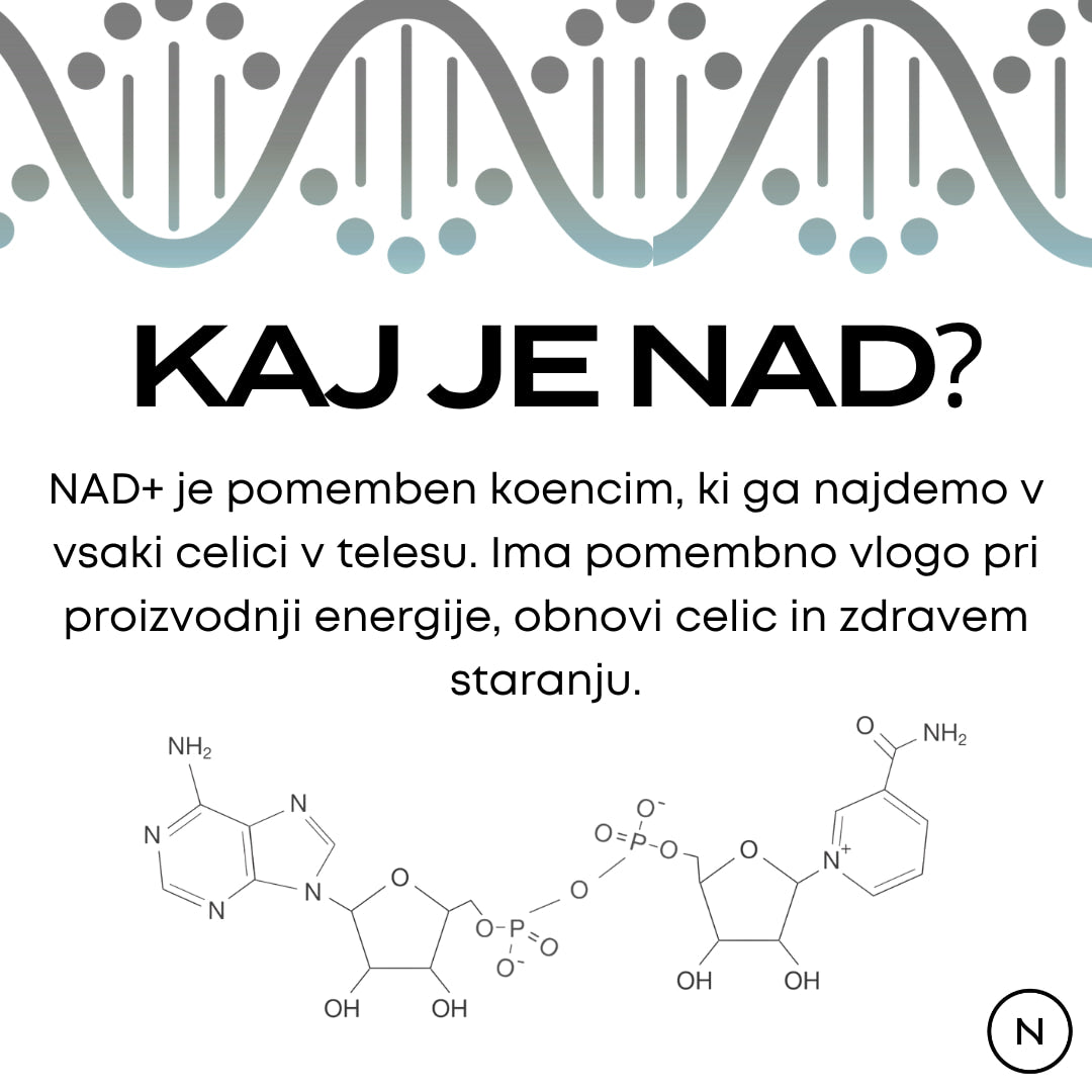 nad+