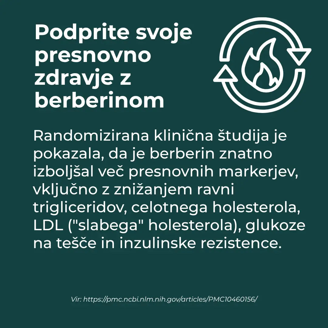 berberine hcl