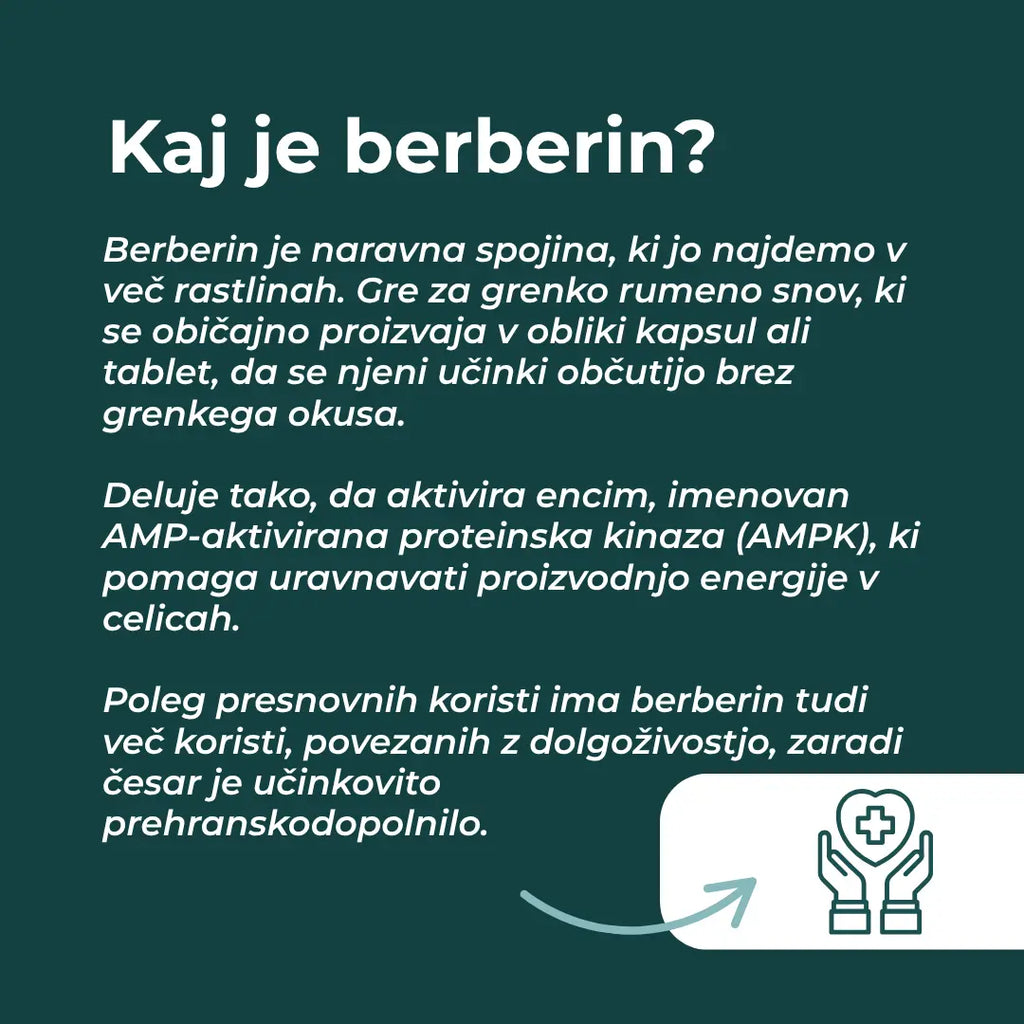 berberine kapsule