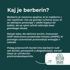 berberine kapsule