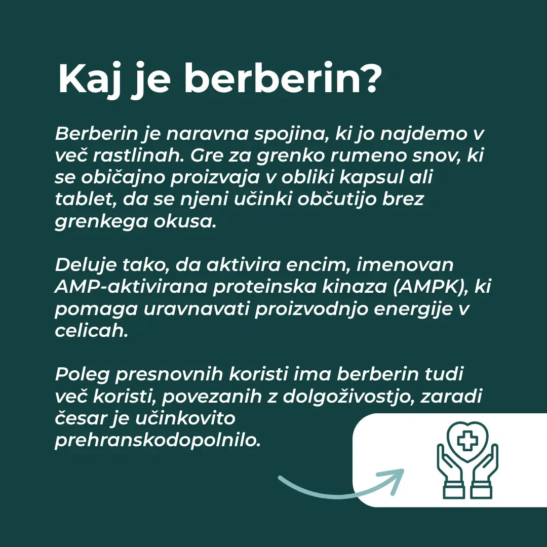 berberine kapsule